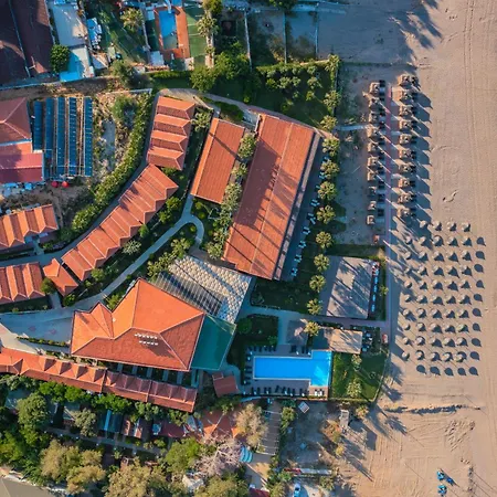 Adora Calma Adults Only Kızılot