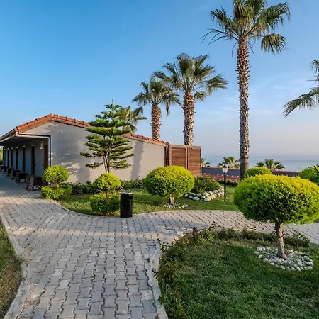 Adora Calma Adults Only