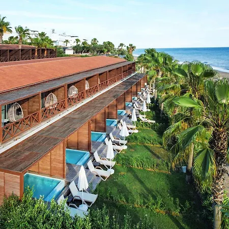 Adora Calma Adults Only